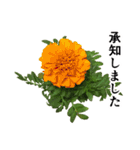 お花の日常スタンプ【敬語編】（個別スタンプ：17）