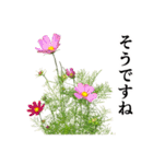 お花の日常スタンプ【敬語編】（個別スタンプ：23）