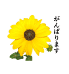お花の日常スタンプ【敬語編】（個別スタンプ：28）