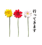 お花の日常スタンプ【敬語編】（個別スタンプ：29）