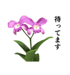 お花の日常スタンプ【敬語編】（個別スタンプ：34）