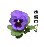 お花の日常スタンプ【敬語編】（個別スタンプ：36）