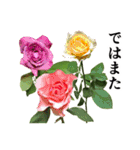お花の日常スタンプ【敬語編】（個別スタンプ：40）