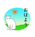 シンプル白猫☆挨拶・ほめる・返事（個別スタンプ：1）