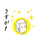 シンプル白猫☆挨拶・ほめる・返事（個別スタンプ：5）