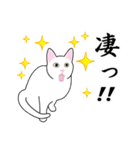 シンプル白猫☆挨拶・ほめる・返事（個別スタンプ：7）