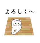 シンプル白猫☆挨拶・ほめる・返事（個別スタンプ：10）