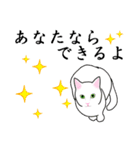 シンプル白猫☆挨拶・ほめる・返事（個別スタンプ：11）
