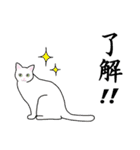 シンプル白猫☆挨拶・ほめる・返事（個別スタンプ：14）