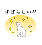 シンプル白猫☆挨拶・ほめる・返事（個別スタンプ：23）