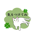シンプル白猫☆挨拶・ほめる・返事（個別スタンプ：34）
