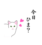 シンプル白猫☆挨拶・ほめる・返事（個別スタンプ：38）