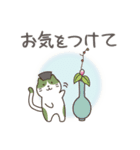 茶道 with 抹茶猫 3 -敬語-（個別スタンプ：38）