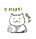 武術猫（個別スタンプ：8）