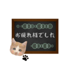 黒板で伝える敬語ネコ（個別スタンプ：4）