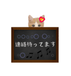 黒板で伝える敬語ネコ（個別スタンプ：6）
