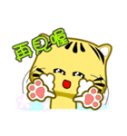 Cute striped cat. CAT111（個別スタンプ：25）