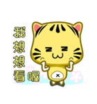 Cute striped cat. CAT111（個別スタンプ：31）