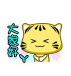 Cute striped cat. CAT112（個別スタンプ：19）