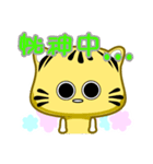 Cute striped cat. CAT114（個別スタンプ：24）