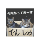 ぬっこぬこスタンプ 其の一（個別スタンプ：19）