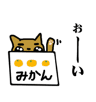 猫の猫太くんの敬語（個別スタンプ：24）