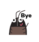 Jeff the cockroach（個別スタンプ：24）