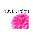 暮らしに花を♪ ダリア(敬語)（個別スタンプ：5）