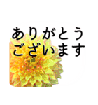 暮らしに花を♪ ダリア(敬語)（個別スタンプ：6）