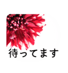 暮らしに花を♪ ダリア(敬語)（個別スタンプ：10）