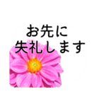 暮らしに花を♪ ダリア(敬語)（個別スタンプ：12）