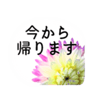 暮らしに花を♪ ダリア(敬語)（個別スタンプ：13）