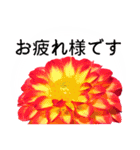 暮らしに花を♪ ダリア(敬語)（個別スタンプ：14）