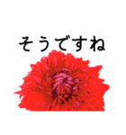 暮らしに花を♪ ダリア(敬語)（個別スタンプ：19）