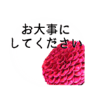 暮らしに花を♪ ダリア(敬語)（個別スタンプ：23）