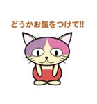 bbcat4敬語（個別スタンプ：3）