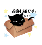 Black cat PUKU for BUSINESS（個別スタンプ：2）