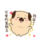 BAGO - Pug's crazy life Stickers（個別スタンプ：16）