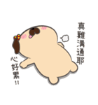 BAGO - Pug's crazy life Stickers（個別スタンプ：20）