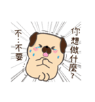 BAGO - Pug's crazy life Stickers（個別スタンプ：22）