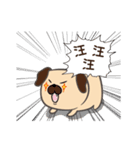 BAGO - Pug's crazy life Stickers（個別スタンプ：30）