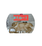 うさぎのハッピー（個別スタンプ：9）