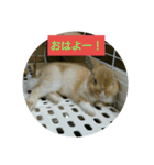 うさぎのハッピー（個別スタンプ：13）