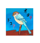 鳥さんの日常用語（個別スタンプ：6）