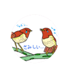 鳥さんの日常用語（個別スタンプ：7）