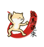 Kung-fu Shiba（個別スタンプ：21）