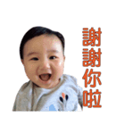 Lifestyle Phrases Lifestyle Phrases（個別スタンプ：4）