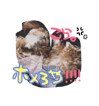 cocolulu！love！（個別スタンプ：2）