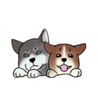 Corgi and（個別スタンプ：5）