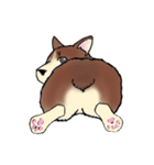 Corgi and（個別スタンプ：7）